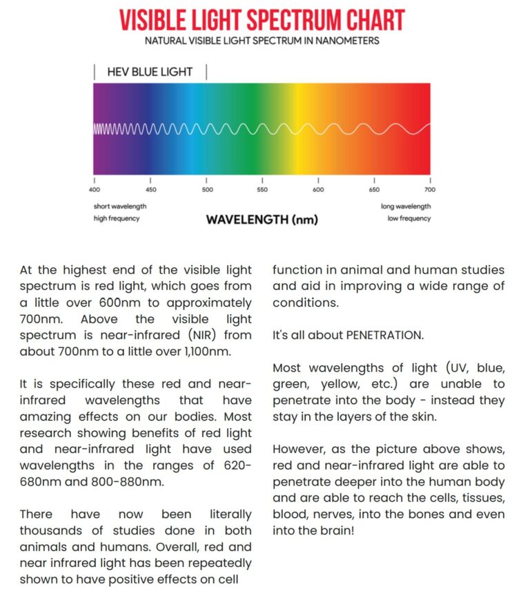 A 'Light Therapy Overview' document illustrating 'Cellular Activation by Red Light' showing red light penetrating skin layers to activate mitochondria, and a chart of the electromagnetic spectrum